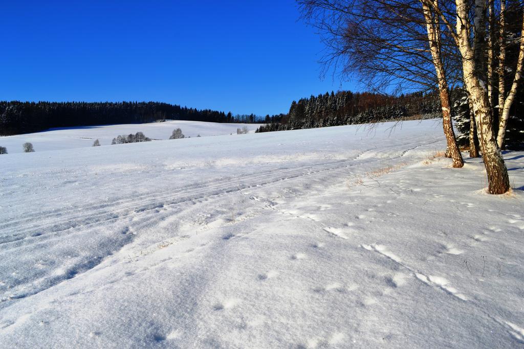 Chalupa pod Klepáčem Králíky Habitación foto