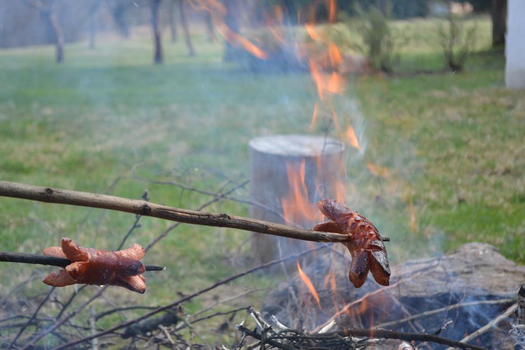 Chalupa pod Klepáčem Králíky Exterior foto