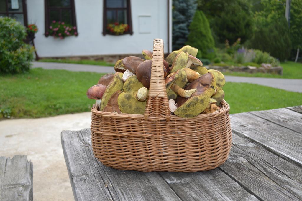 Chalupa pod Klepáčem Králíky Exterior foto